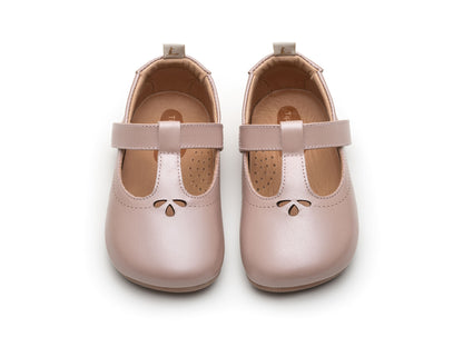 Dainty - Pink Dream